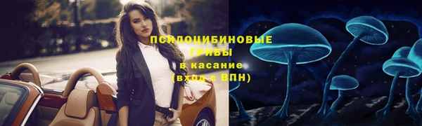 стафф Беломорск