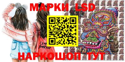 шишки Заволжье