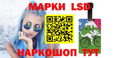 шишки Заволжье