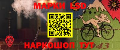 PSILOCYBIN Бийск