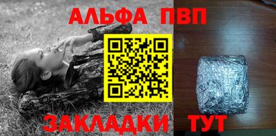 шишки Заволжье
