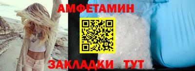 шишки Заволжье