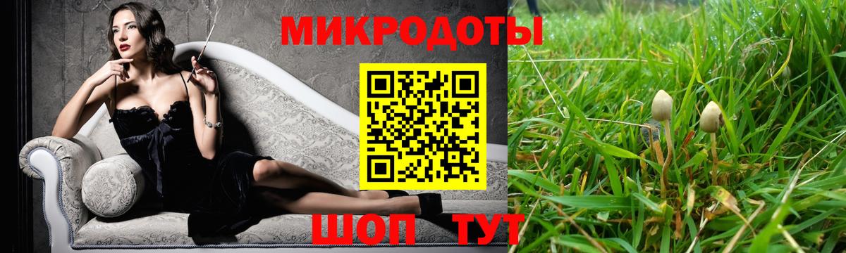 Псилоцибиновые грибы Psilocybine cubensis Валуйки